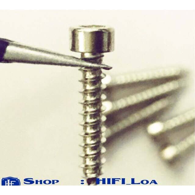 Vít đầu lục giác 3x15mm màu inox hàng đẹp