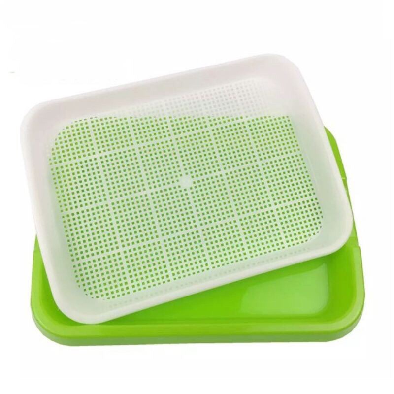Khay trồng rau mầm thủy canh chuyên dụng loại dày 34x25x5cm, hàng chất lượng