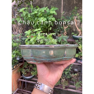 Chậu ovan /chậu trồng cây bonsai/chậu trồng cây cảnh /chậu trồng cây kiểng