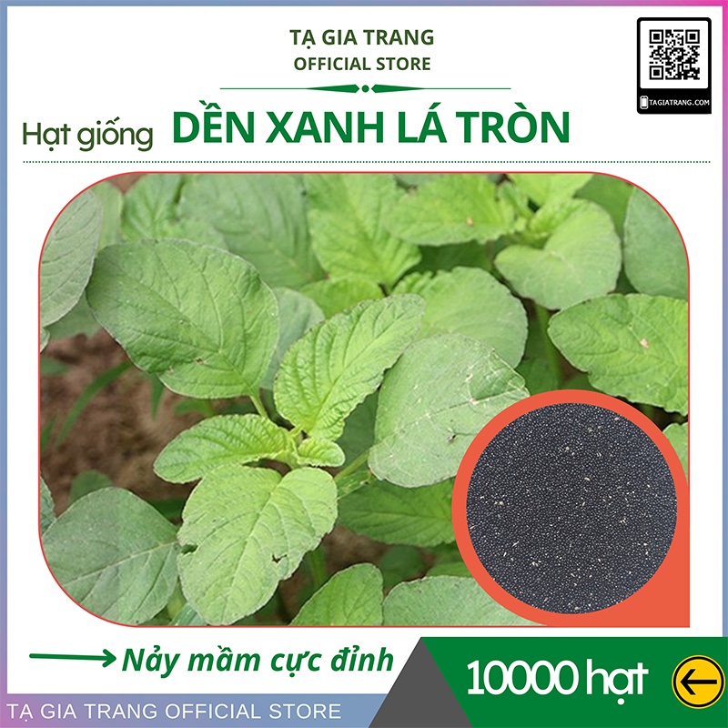 Hạt giống rau dền xanh lá tròn (lá hến) - Shop hạt giống Tạ Gia Trang