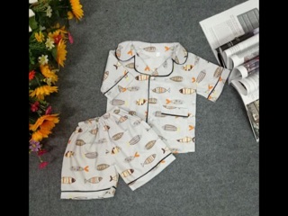 Combo Bộ pijama bé trai bé gái