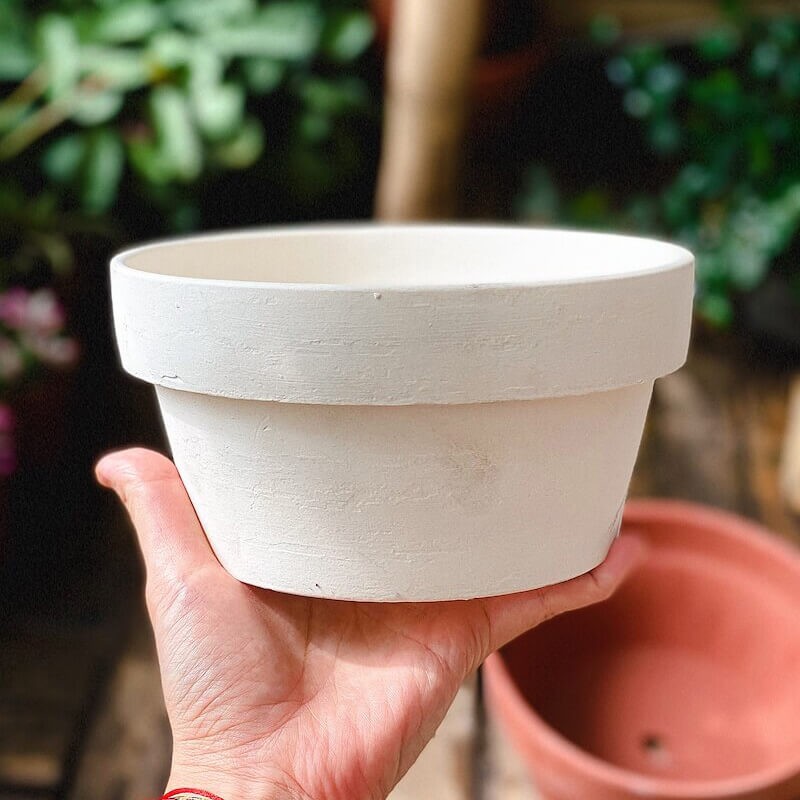 Chậu đất nung trồng cây cảnh, Bonsai Terracotta pots BatTrang (Trắng, Nâu, Cao, Thấp) hàng Bát Tràng