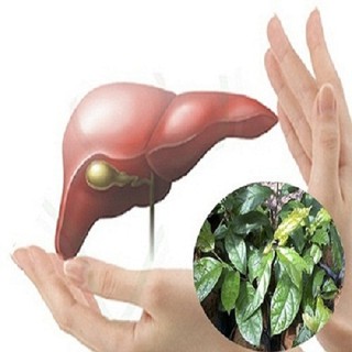 1kg Xạ Đen Hòa Bình Sấy Khô
