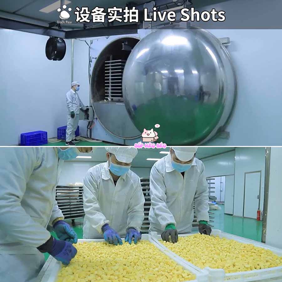 Lòng đỏ trứng sấy gói 50gr dùng thử cho Cún Mèo,Hamster ăn vặt siêu bổ dưỡng cho lông và mắt, thức ăn đông khô cho Mèo