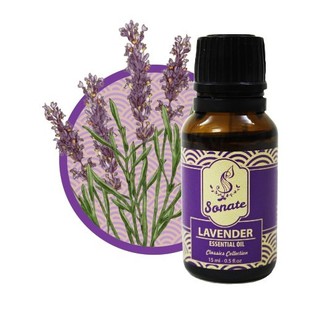 Tinh dầu Lavender, Tinh dầu oải hương 10ml