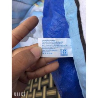 Gối bông Bobby chan mặt cười