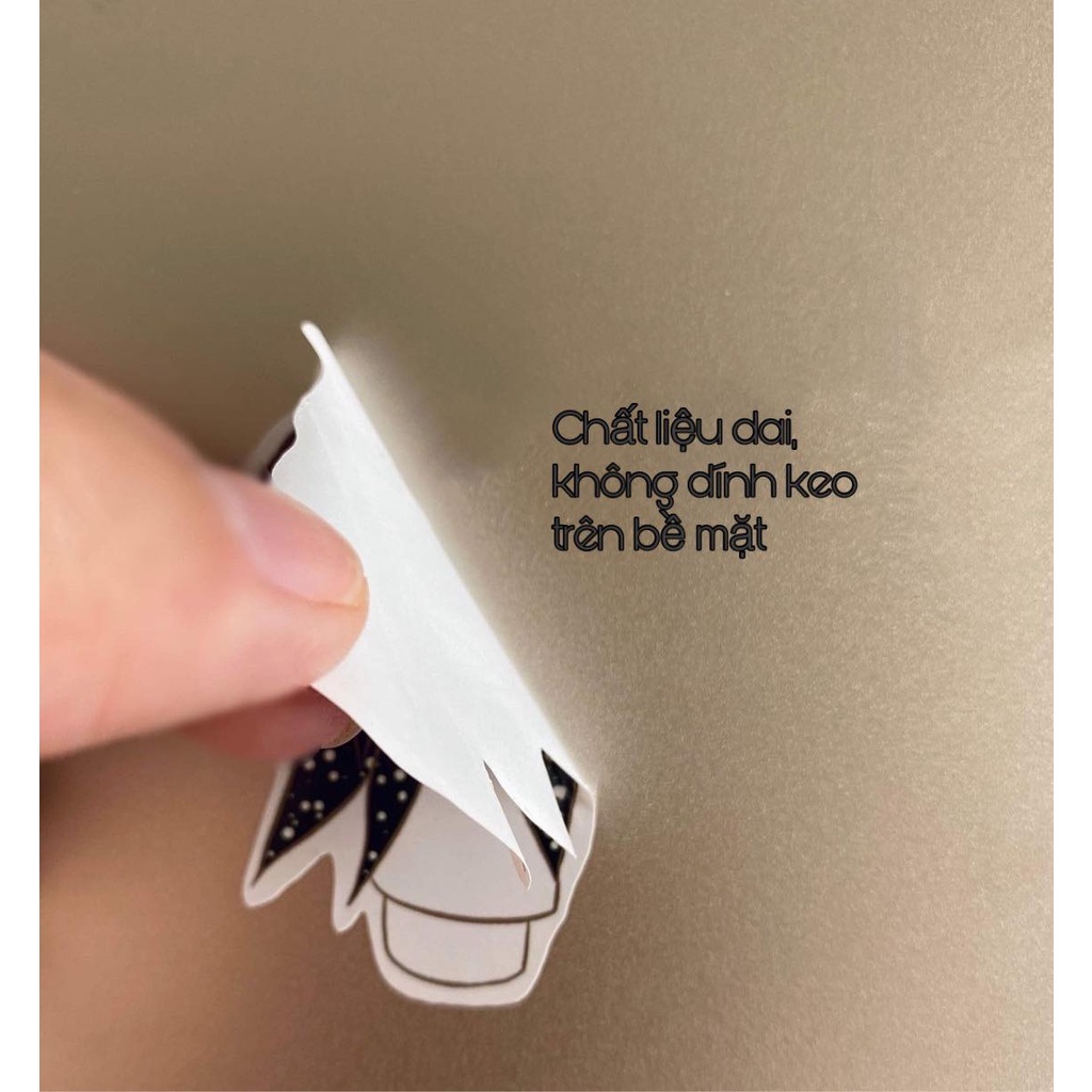 Sticker dán hình kiểng lá không thấm nước, sticker dán điện thoại hình kiểng lá monstera, philodendron, anthurium