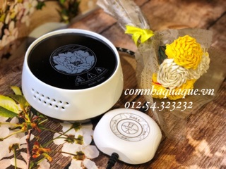 Bếp hồng ngoại đôi