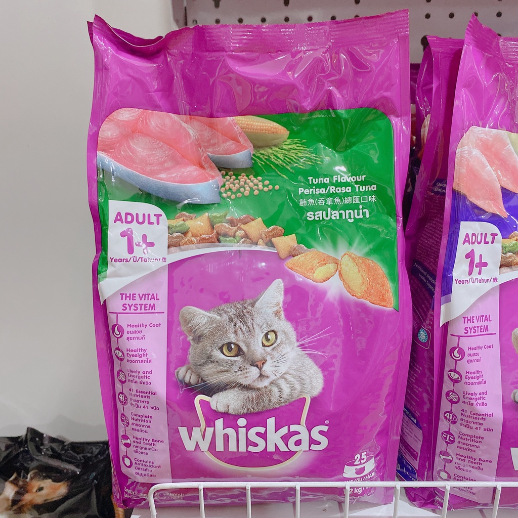 Hạt Whiskas Junior cho mèo con & mèo mẹ gói 450g 1.1KG vị cá biển cá thu