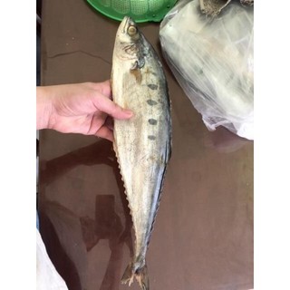 1kg Khô cá bè bè (họ cá thu)