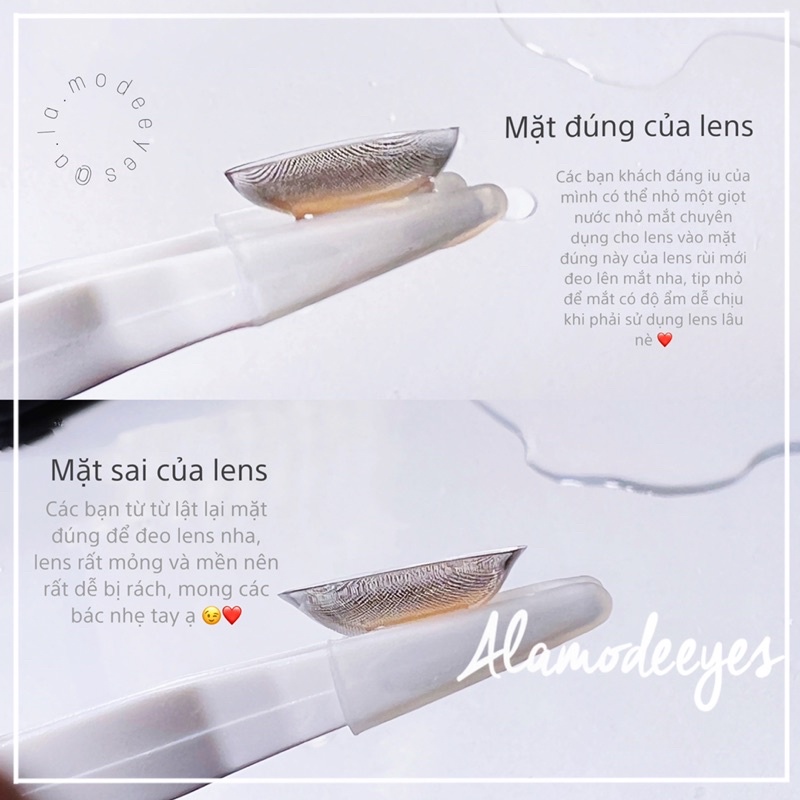 Lens new nâu Ruby trong viền xanh dương đậm