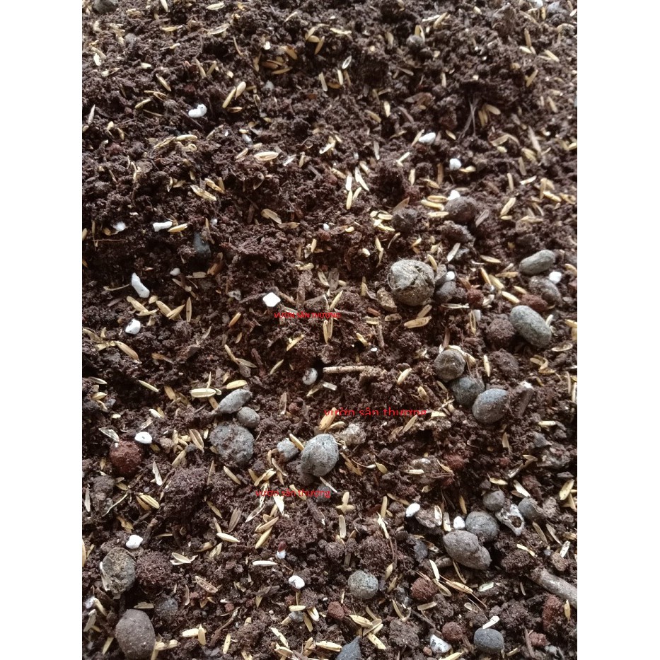 5kg Đất trồng chuyên Rau, Củ, Qủa, Hoa, Trộn Sẵn Đất Đỏ, Tro, Compoat, Phân Dê,.. Trồng Ngay