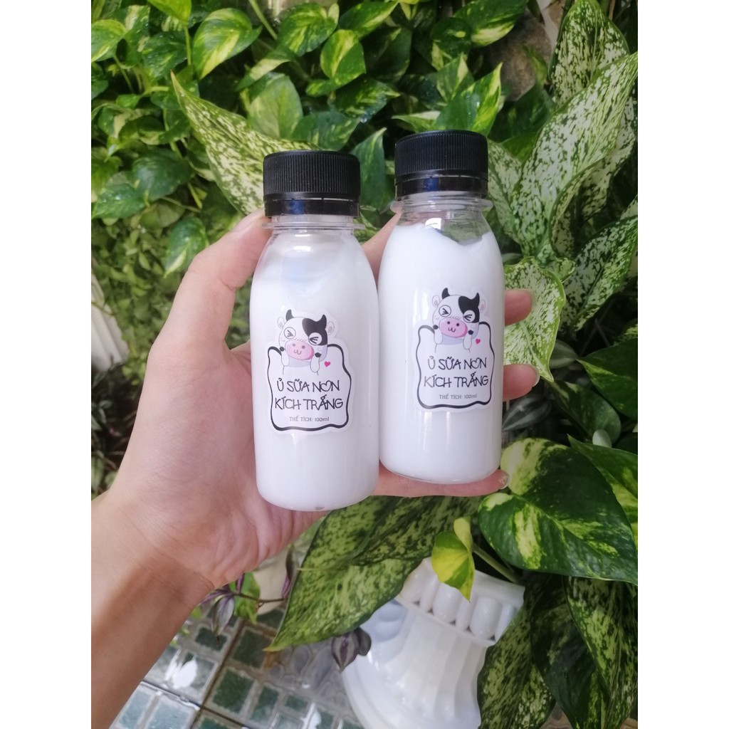 Sữa non kích trắng con bò 100ml