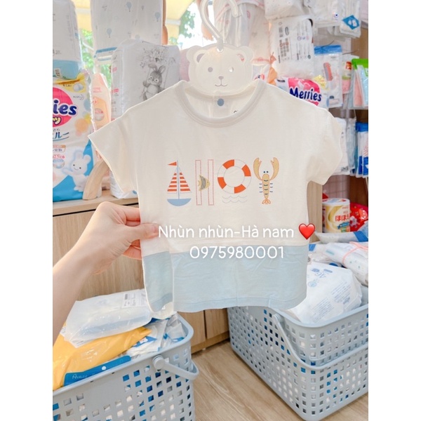 Áo rời cotton Chaang đủ size(clip ảnh thật)