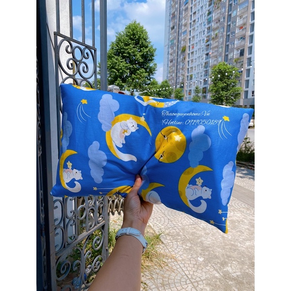 Gối lá đinh lăng từ bông gạo tự nhiên ( đinh lăng handmade sao vàng hạ thổ)