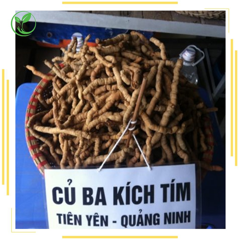 [Rẻ Vô Địch] Ba Kích Tím 🍀 Điều Trị Liệt Dương 🍀 500g NK089