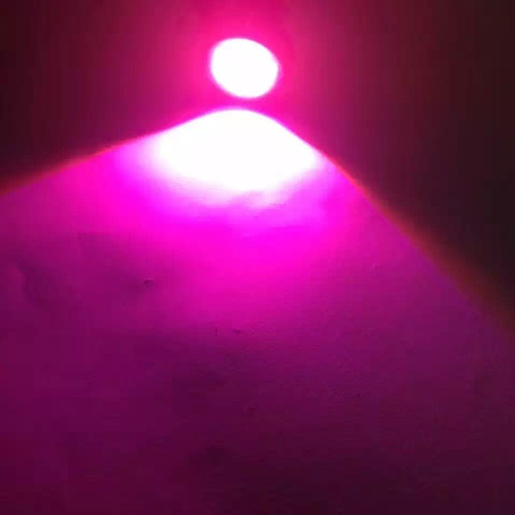 Đèn xi nhan cúc áo LED loại to 23mm (1 cái)