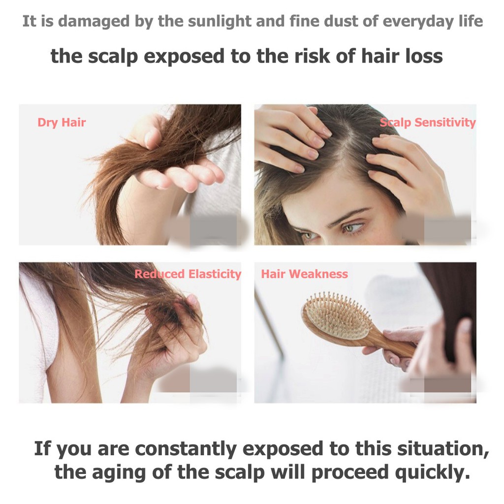 Dầu gội và điều trị Gừng Chăm sóc da đầu chống rụng Daleaf Shampoo and Treatment Ginger Scalp Anti-Hair Loss Care 1000ml