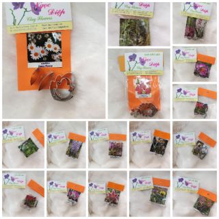 Khuôn mini đồng giá . nt chọn mẫu khuôn