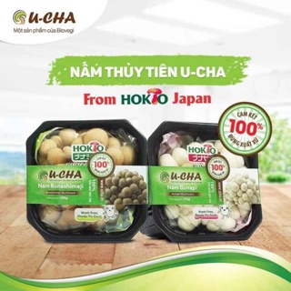 COMBO NẤM KIM CHÂM - NẤM THUỶ TIÊN 100g-150g