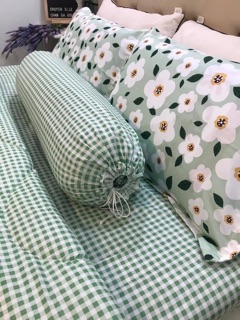 Bộ Drap & Chăn Phao Hoa Mai Xanh