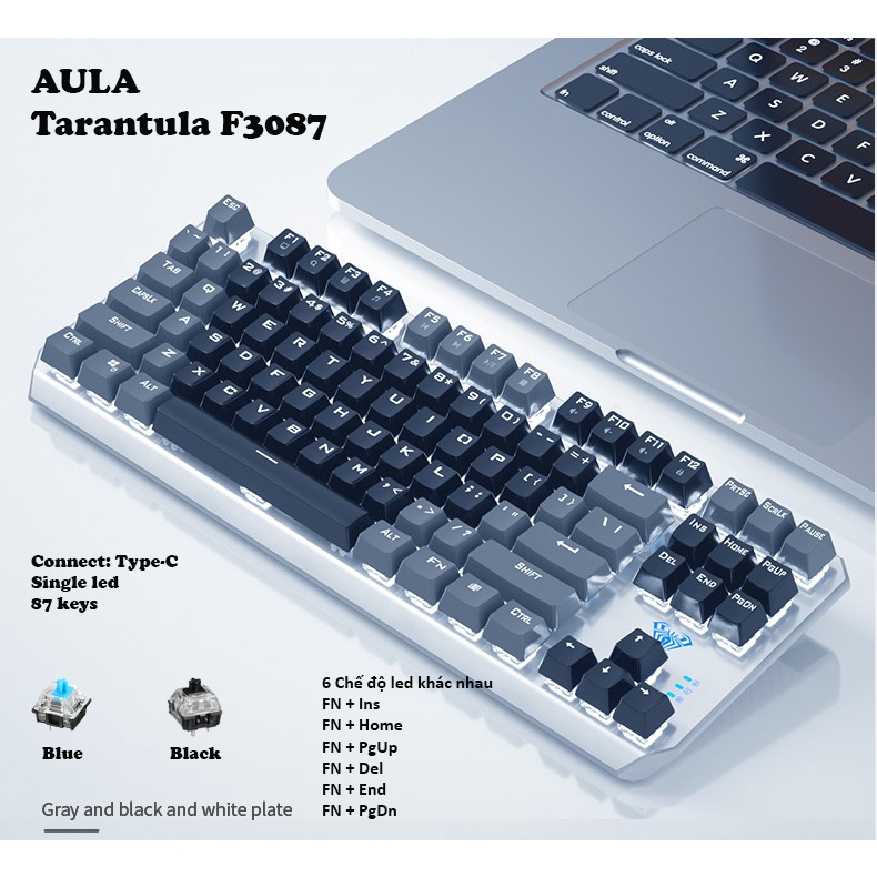 Bàn phím cơ Tarantula F3087 - Switch Xanh / Đen