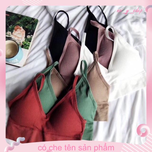 Áo bra cotton gân tăm 367 VENIZO hàng loại 1 [kho sỉ] | BigBuy360 - bigbuy360.vn