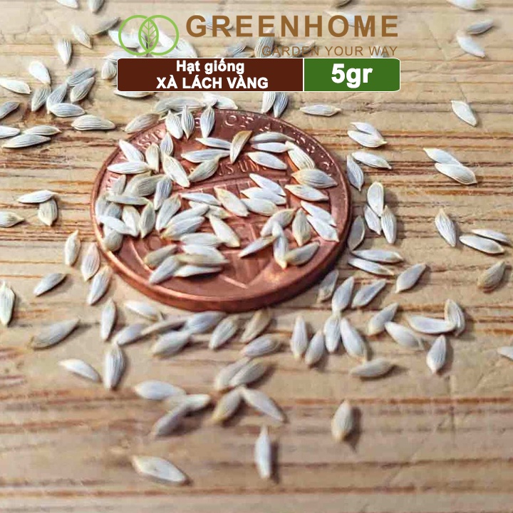 Hạt giống rau Xà lách vàng, gói 10g, dễ trồng, thu hoạch nhanh R13 |Greenhome