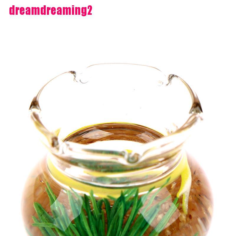 Kính Bể Cá Mini Trang Trí Nhà Búp Bê