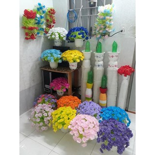 Combo 25 chậu nhựa
