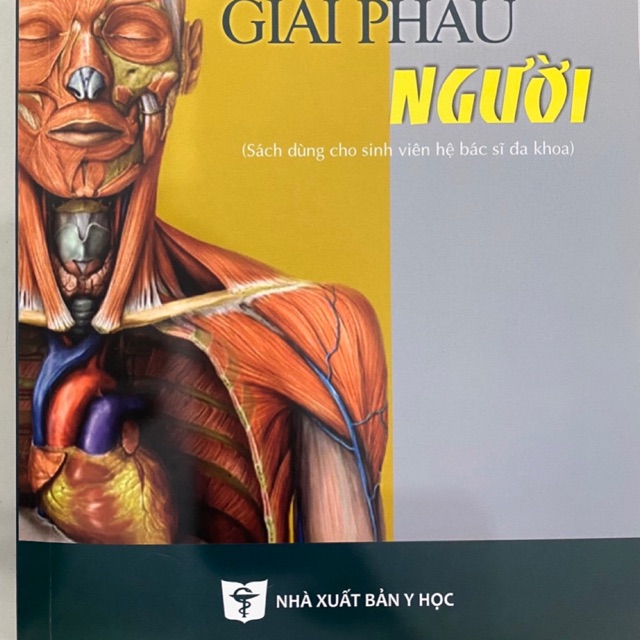 Sách - Giải phẫu Người 2020