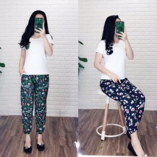 Set ao phông + quần lanh
