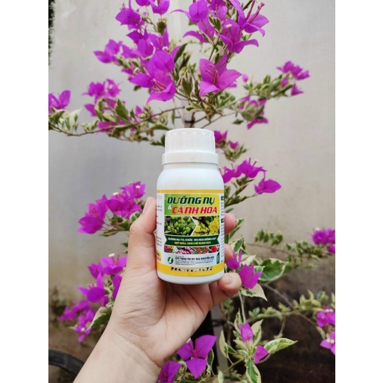 DƯỠNG NỤ CÁNH HOA chai 250ml, phân bón giúp kích nhiều nụ, dưỡng nụ to, hoa nở tươi lâu tàn