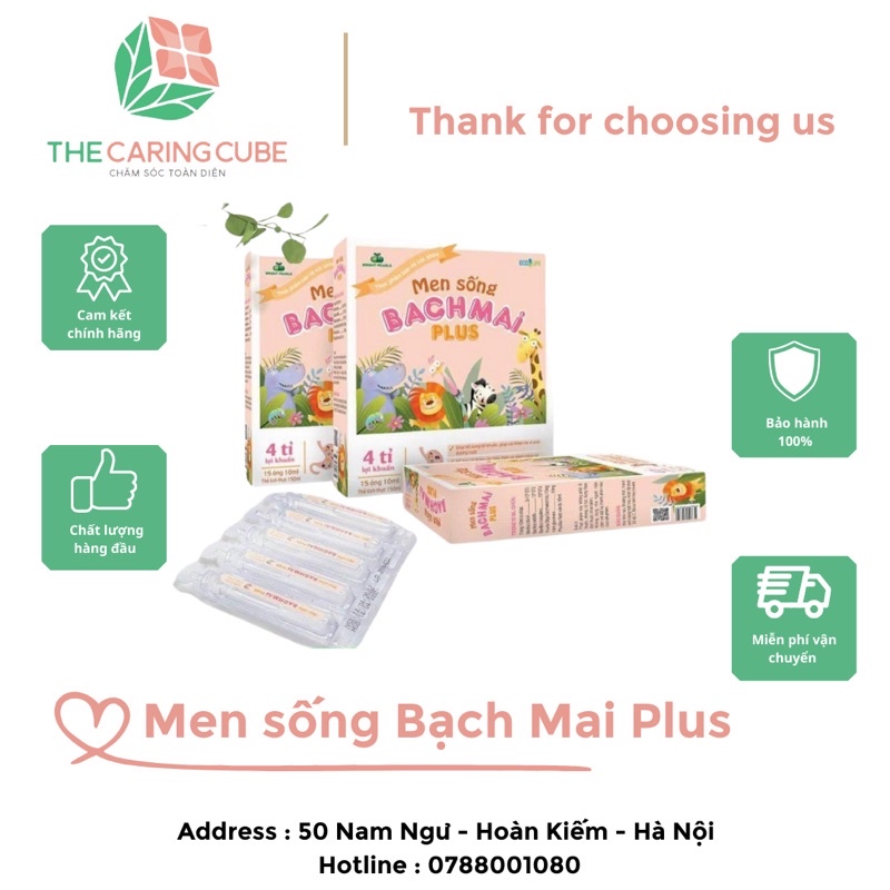 Men sống bạch mai plus