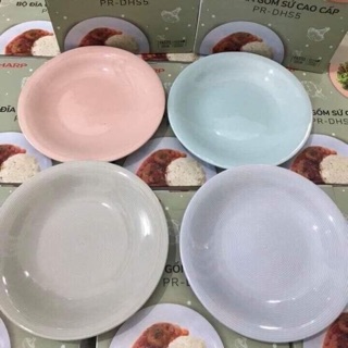 BỘ 4 ĐĨA MÀU PASTEL VÂN XOẮN ỐC CAO CẤP CỰC ĐẸP