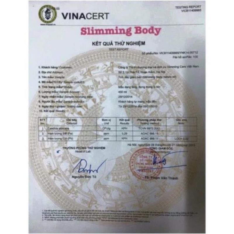 Kem Tan Mỡ Collagen Sliming Day