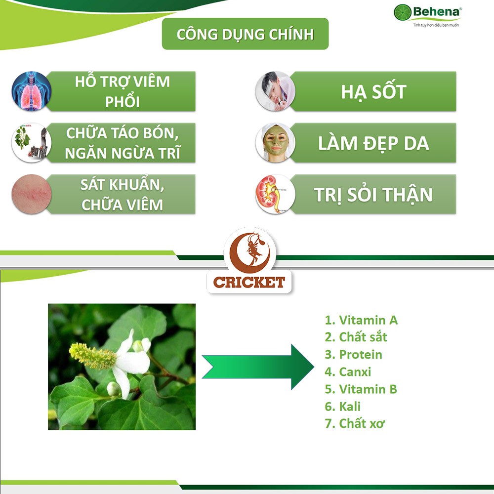 Bột Diếp Cá Nguyên Chất Sấy Lạnh Behena (50g) Hỗ Trợ Bệnh Trĩ, Ngừa Viêm, Hết Mụn Mờ Thâm, Làm Đẹp Da,Trắng Da, Detox | BigBuy360 - bigbuy360.vn