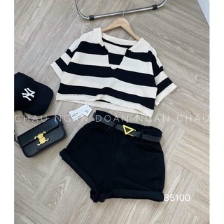 Áo Croptop Cổ Bẻ Xẻ V Trơn
