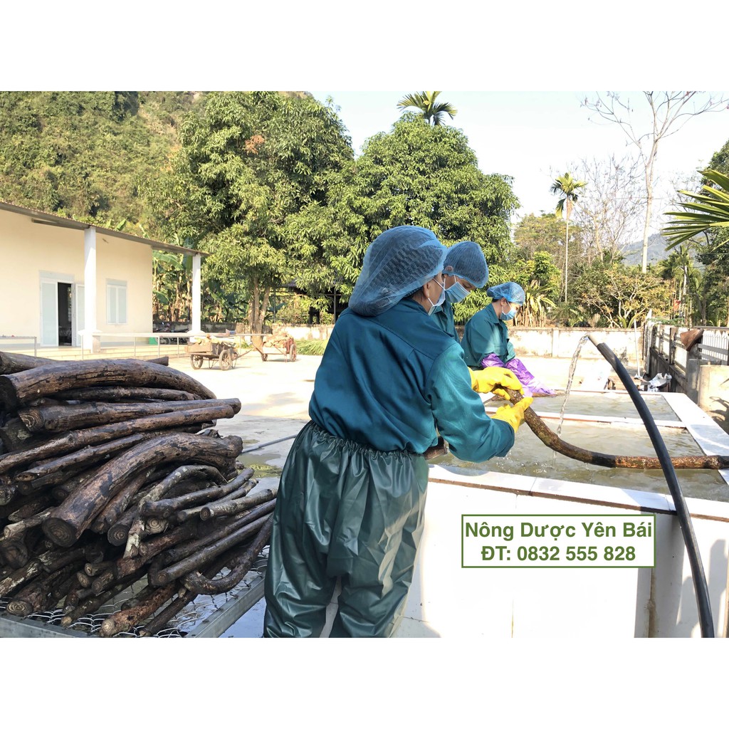 Cao gắm nguyên chất - Cao mềm  - Nông Dược Yên Bái