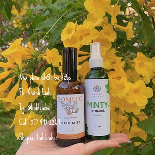 Combo kiềm dầu trị bết tóc Xịt Minty + tinh dầu bưởi Pomelo