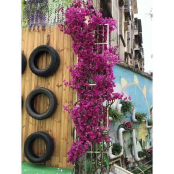 Hoa giả -Cành hoa giấy cao 1met