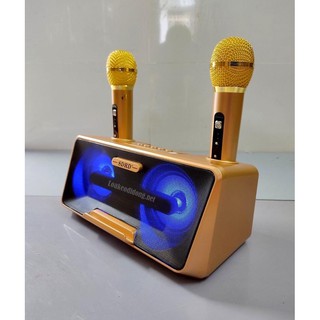 Loa Bluetooth Karaoke SDRD SD-301
