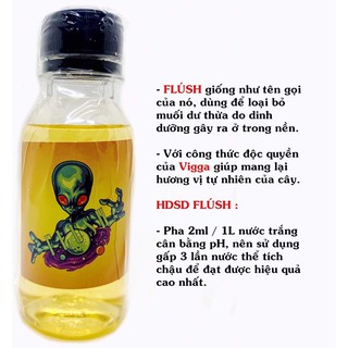 Xả muối nền - Flush Vigga