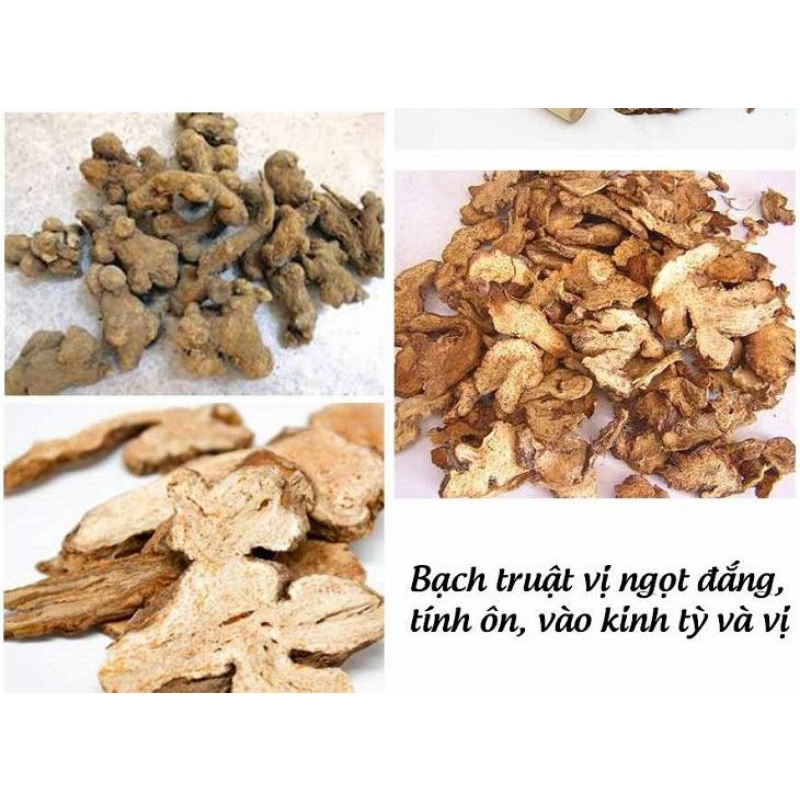 Bạch Truật - nguyên chất 100g - Hàng chuẩn loại 1, mới, thơm, sạch