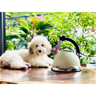 Ấm đun nước inox Faster 3L