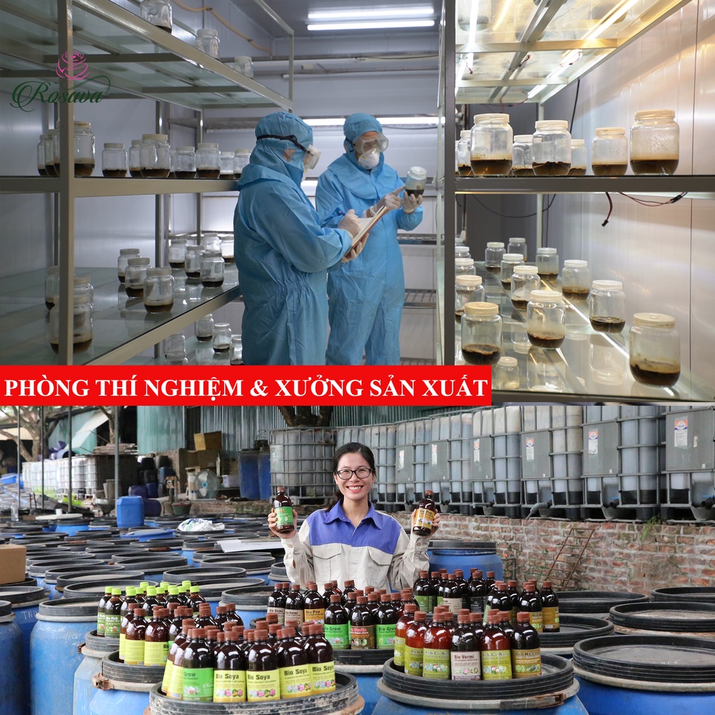 Phân bón hữu cơ vi sinh kích thích ra hoa Rosava can 4L rẻ cho cây cảnh, hoa hồng, hoa giấy, hoa lan, sen đá