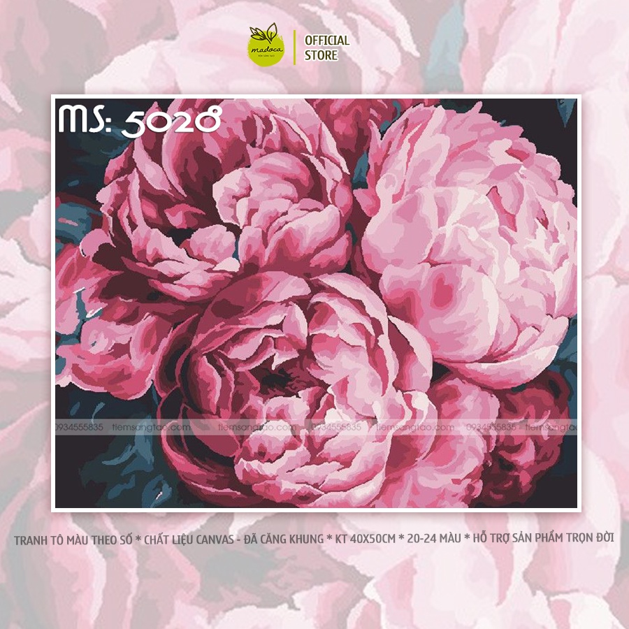 Tranh tô màu số hóa Madoca có khung 40x50cm mẫu đơn bung nở T5028