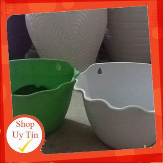 Bán Sỉ, lẻ (siêu rẻ)  Chậu  nhựa ốp tường trồng cây cảnh c/lượng, hg C/ty. chất đẹp.
