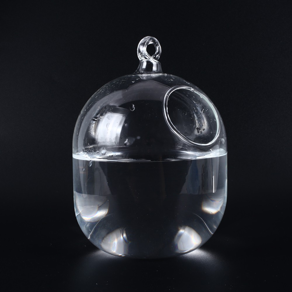 Transparent Hanging Handmade Fishbowl Vases