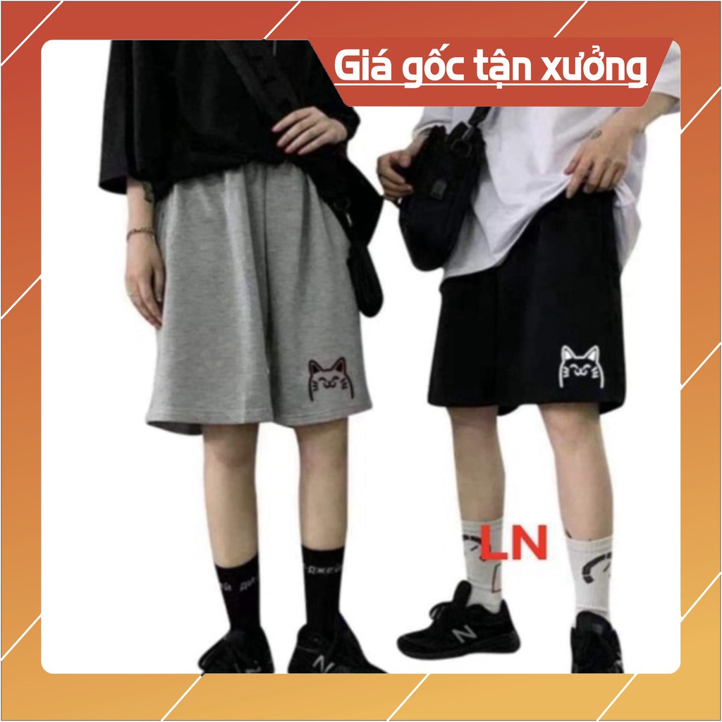 Quần đùi đầu mèo LN12